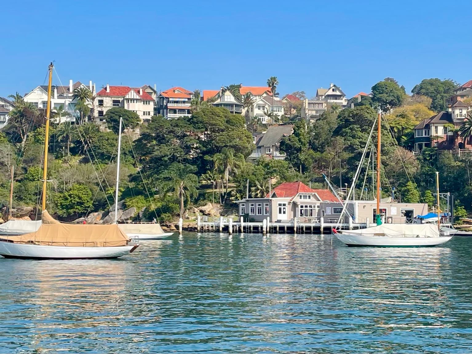 The Sydney Amateur Sailing Club clubhouse on the western edge of Mosman Bay