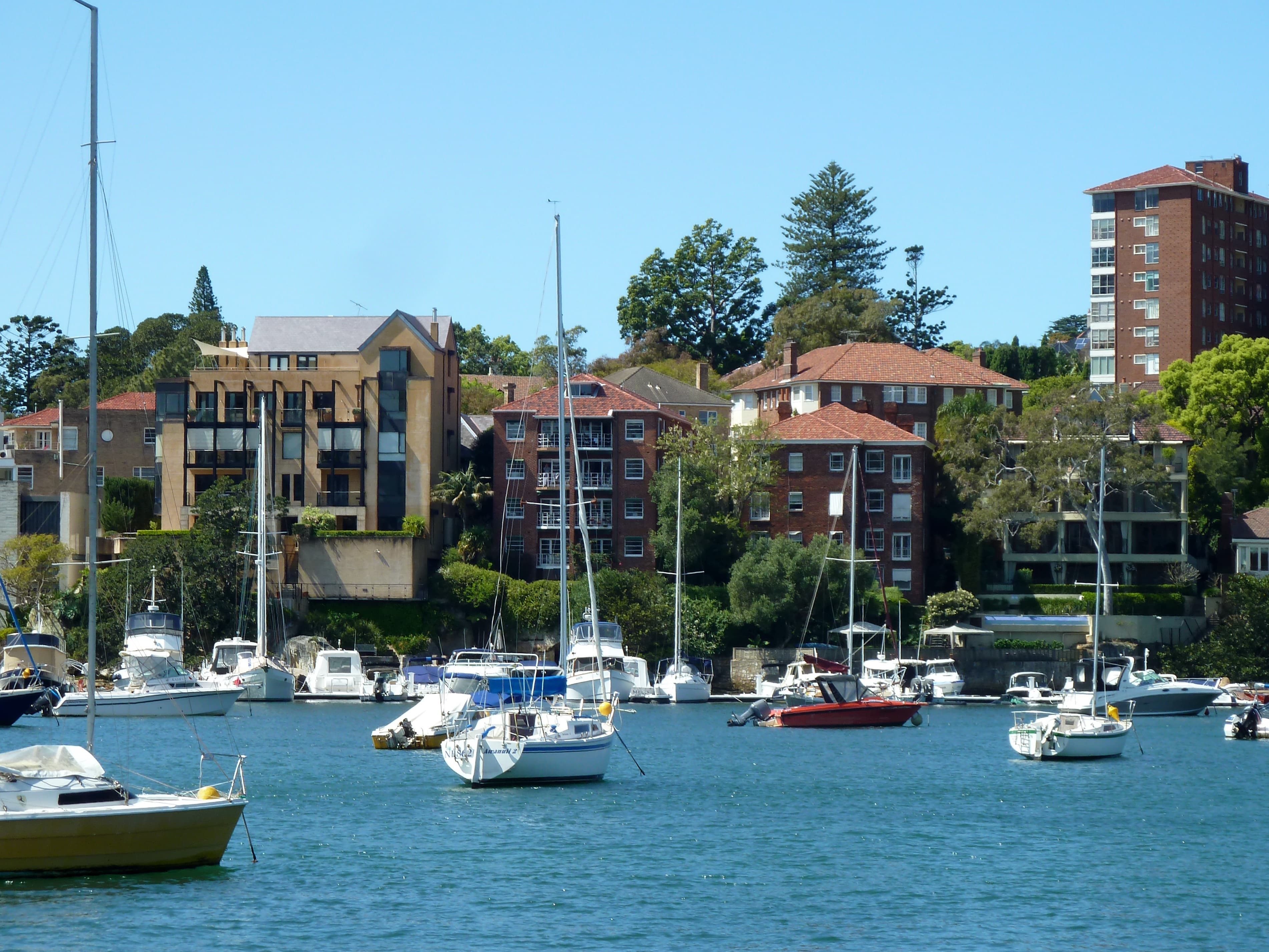 Sailboats on Sydney Harbour off Point Piper and Double Bay