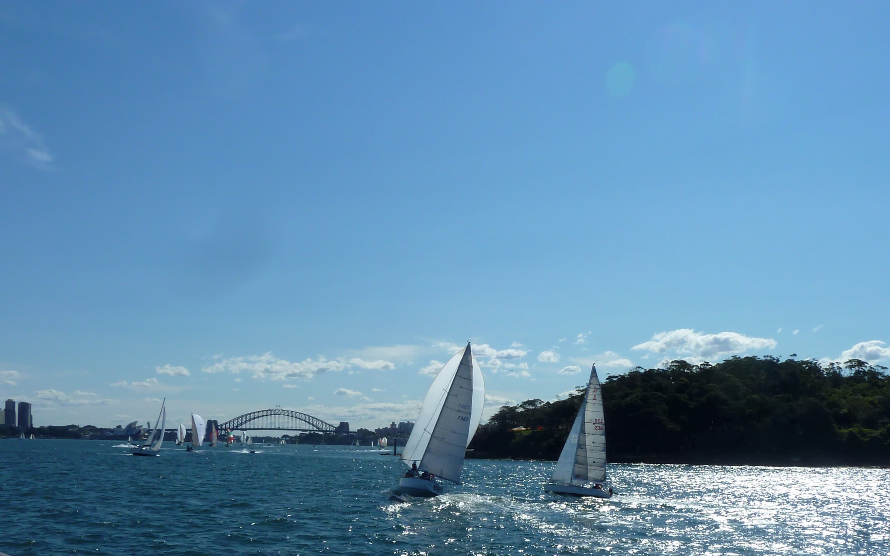 Sailboats under sail on Sydney Harbour off Point Piper