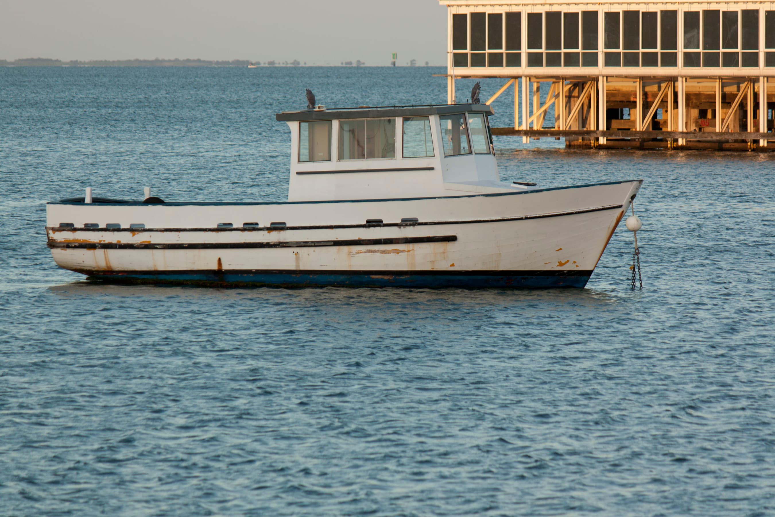 A boat moored on Corio Bay with the Geelong waterfront behind