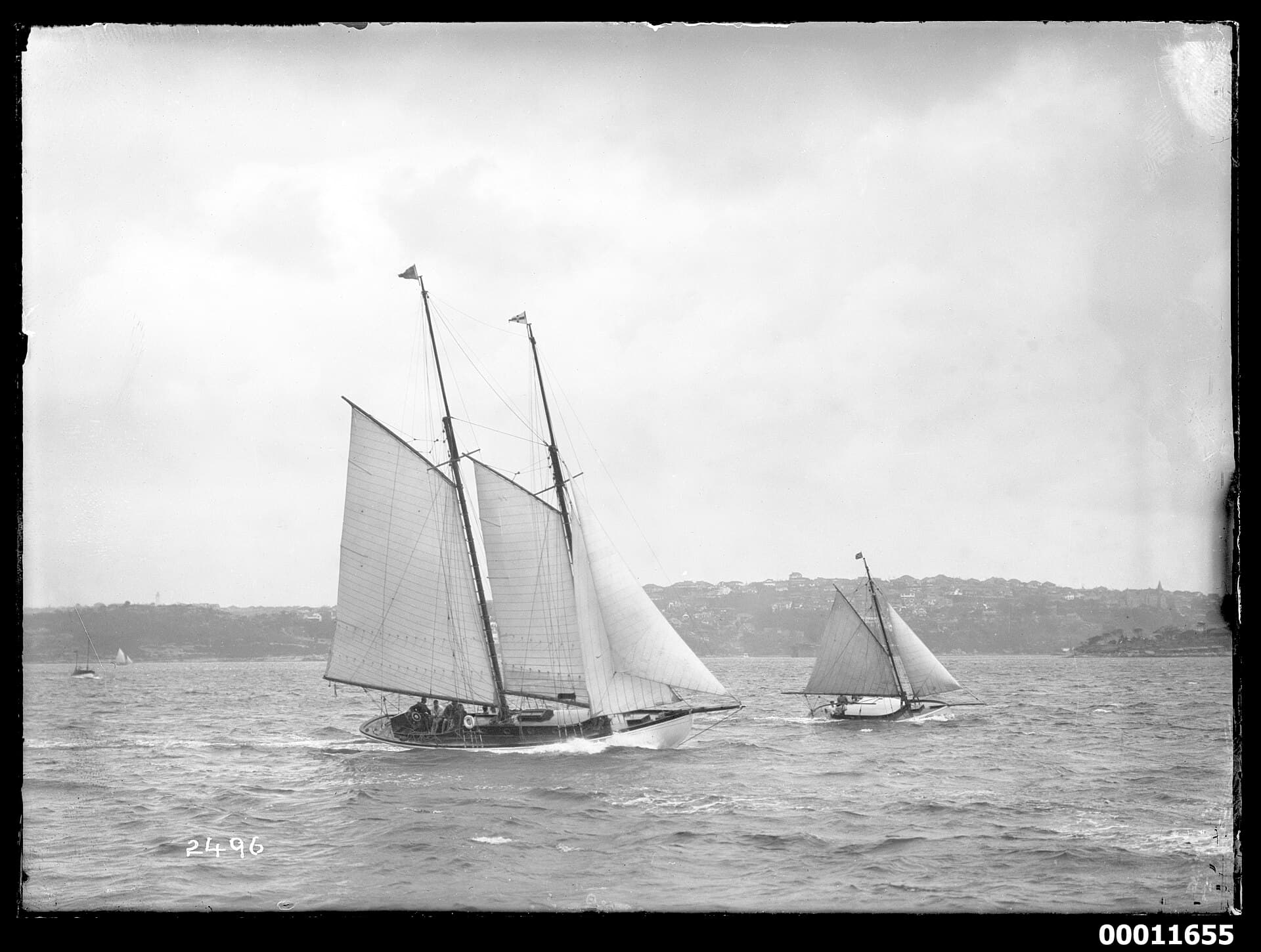 A yacht sailing on Rose Bay, Sydney Harbour