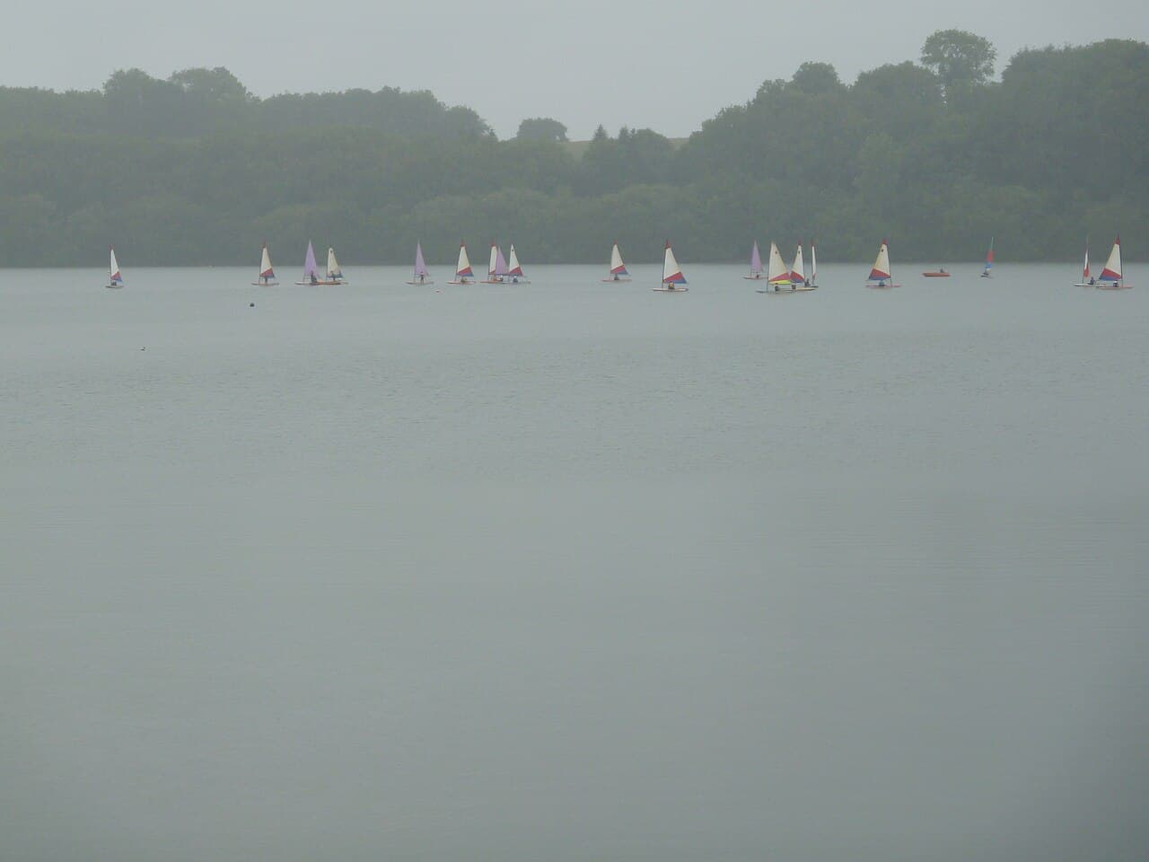 Sailing regatta on a murky Ardingly Reservoir - geograph.org.uk - 2454778