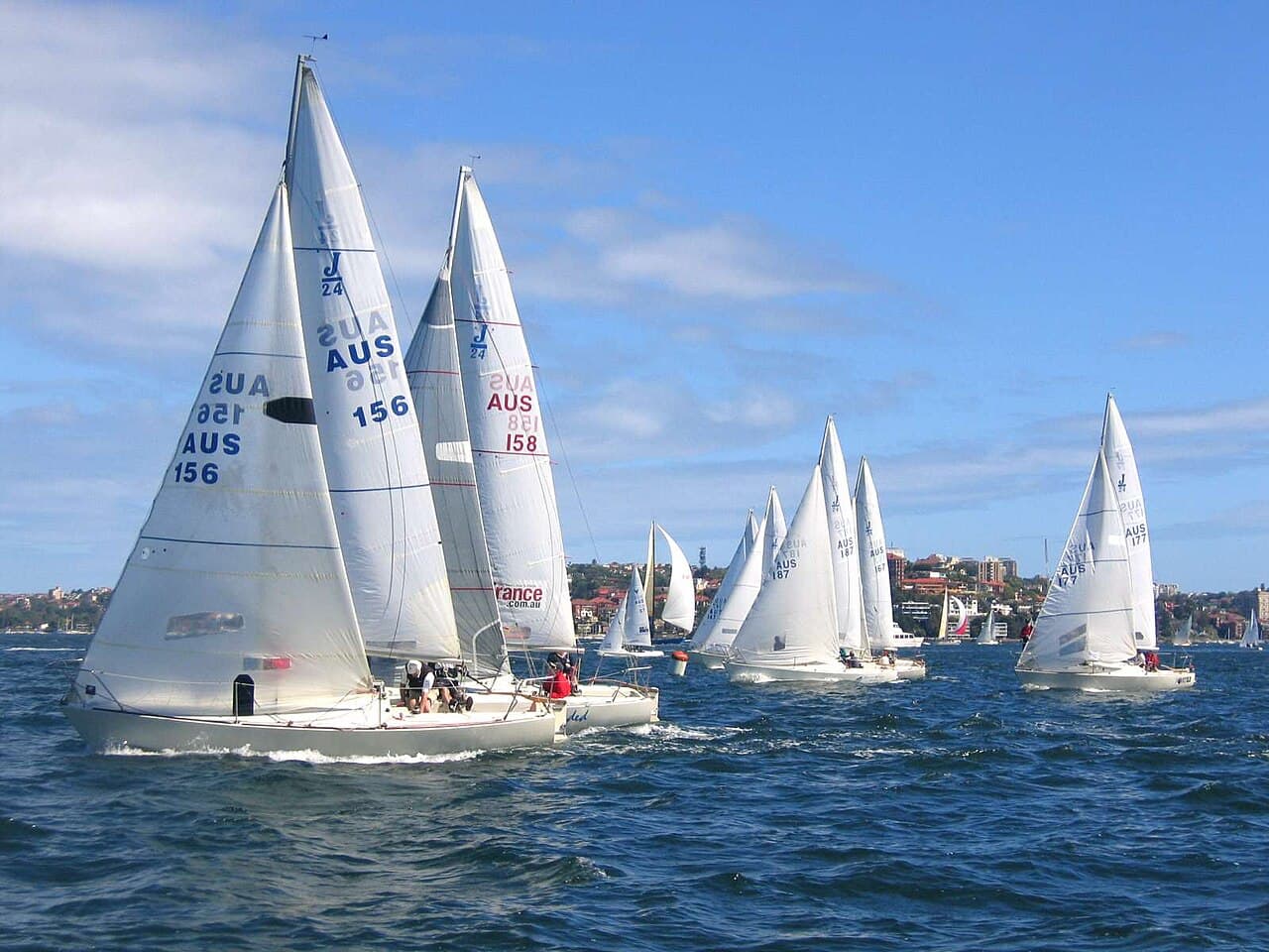 J-24 yacht racing, Sydney Harbour